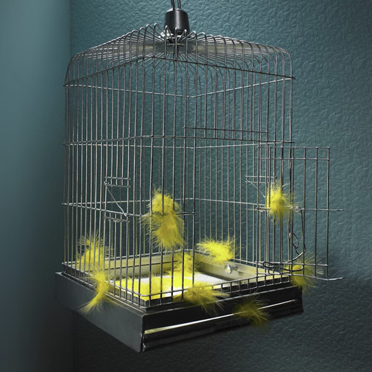 <br><audio controls src='/audio/rake.mp3'></audio><br>Sound made from the railing of a fan. The wire material used for this fan remind me of the bars from a birdcage.<br>/Getty Images (2022). Bird in a cage with yellow feathers. Unsplash. https://unsplash.com/photos/a-bird-in-a-cage-with-yellow-feathers-Whj49u_O5sY