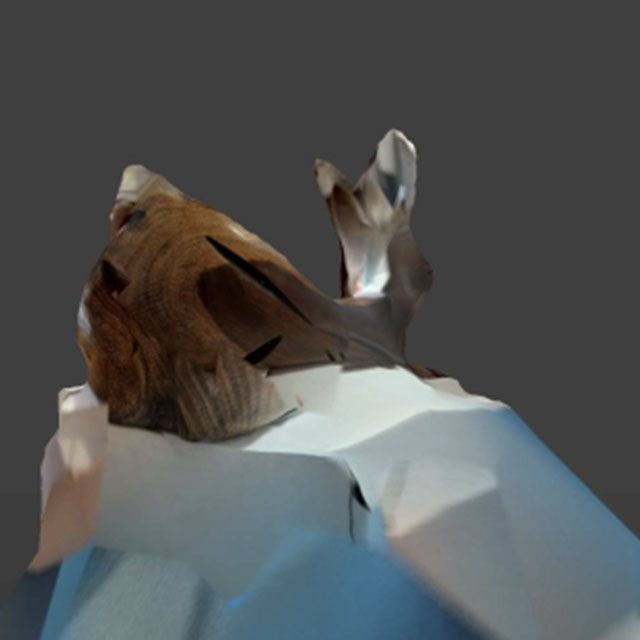 This is a view of the rabbit's mesh in one enviornment I tried doing my scans in. One of it's sides completely merges with the side of the rabbit, which was due to me moving in an awkward position and reaching my phone to scan it.